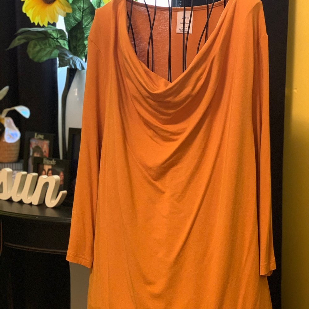 Ladies Tunic Draped Neck Blouses